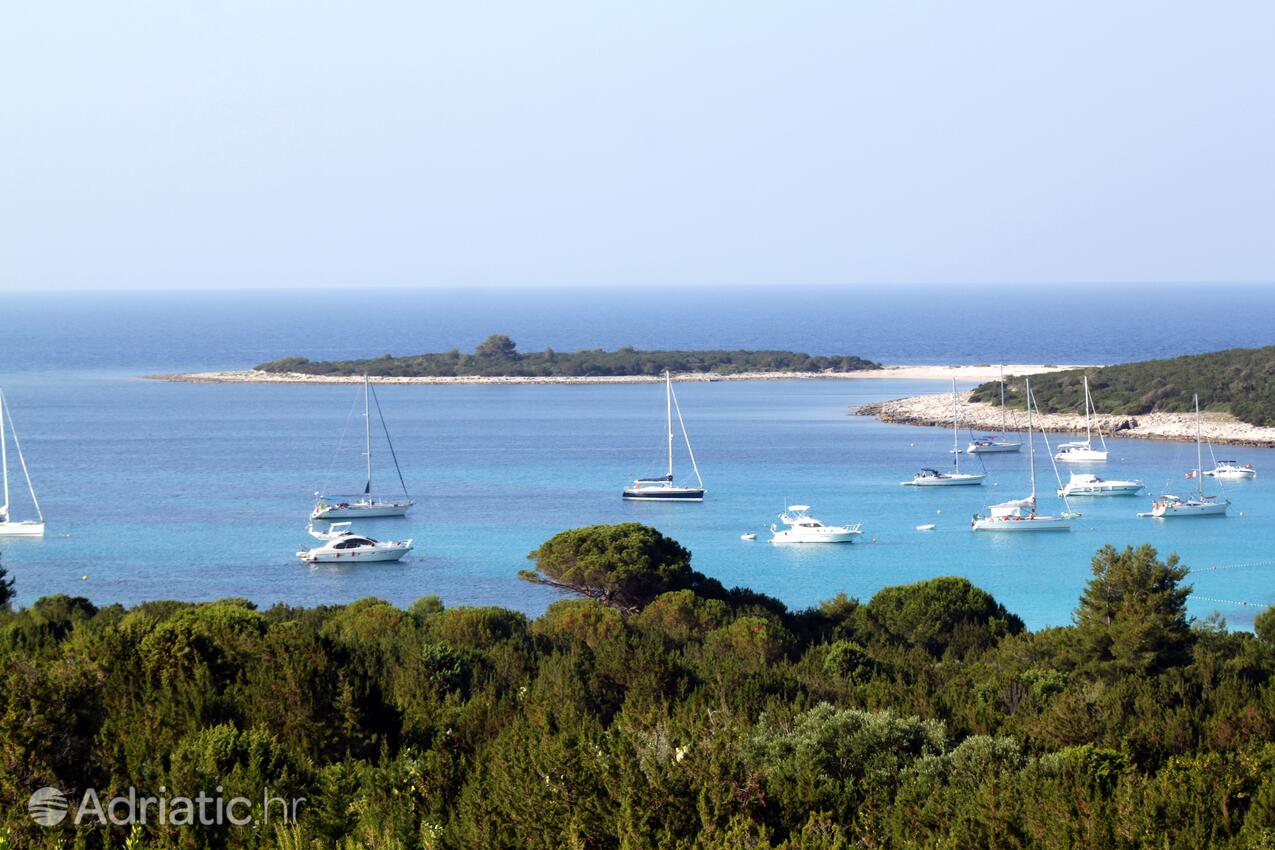 Spiagge nelle vicinanze - Casa vacanze accanto al mare Verunić, Isola Lunga - Dugi otok