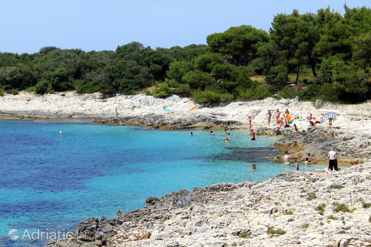 Spiagge nelle vicinanze - Casa vacanze accanto al mare Verunić, Isola Lunga - Dugi otok