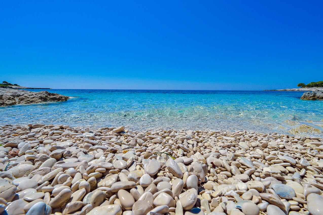 Spiagge nelle vicinanze - Casa vacanze accanto al mare Verunić, Isola Lunga - Dugi otok