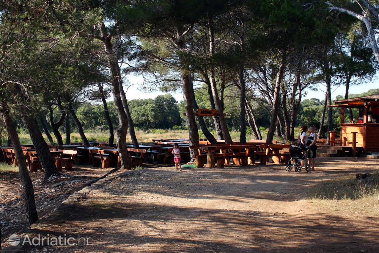 Spiagge nelle vicinanze - Casa vacanze accanto al mare Verunić, Isola Lunga - Dugi otok