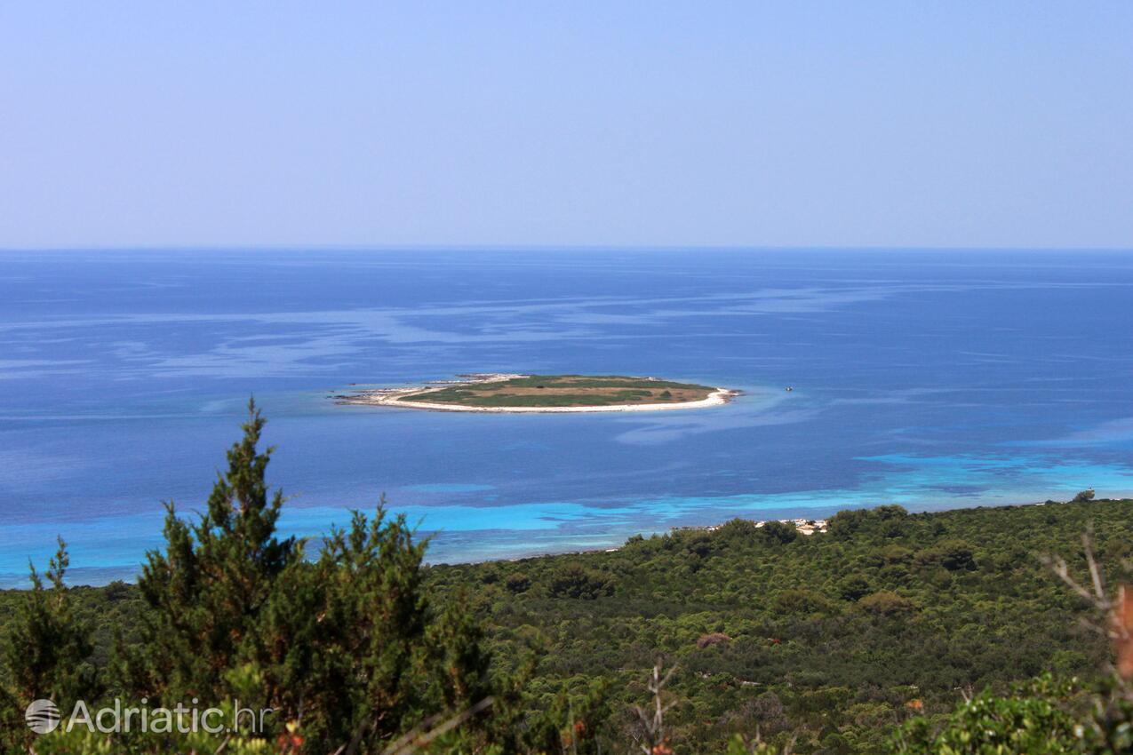 Spiagge nelle vicinanze - Casa vacanze accanto al mare Verunić, Isola Lunga - Dugi otok