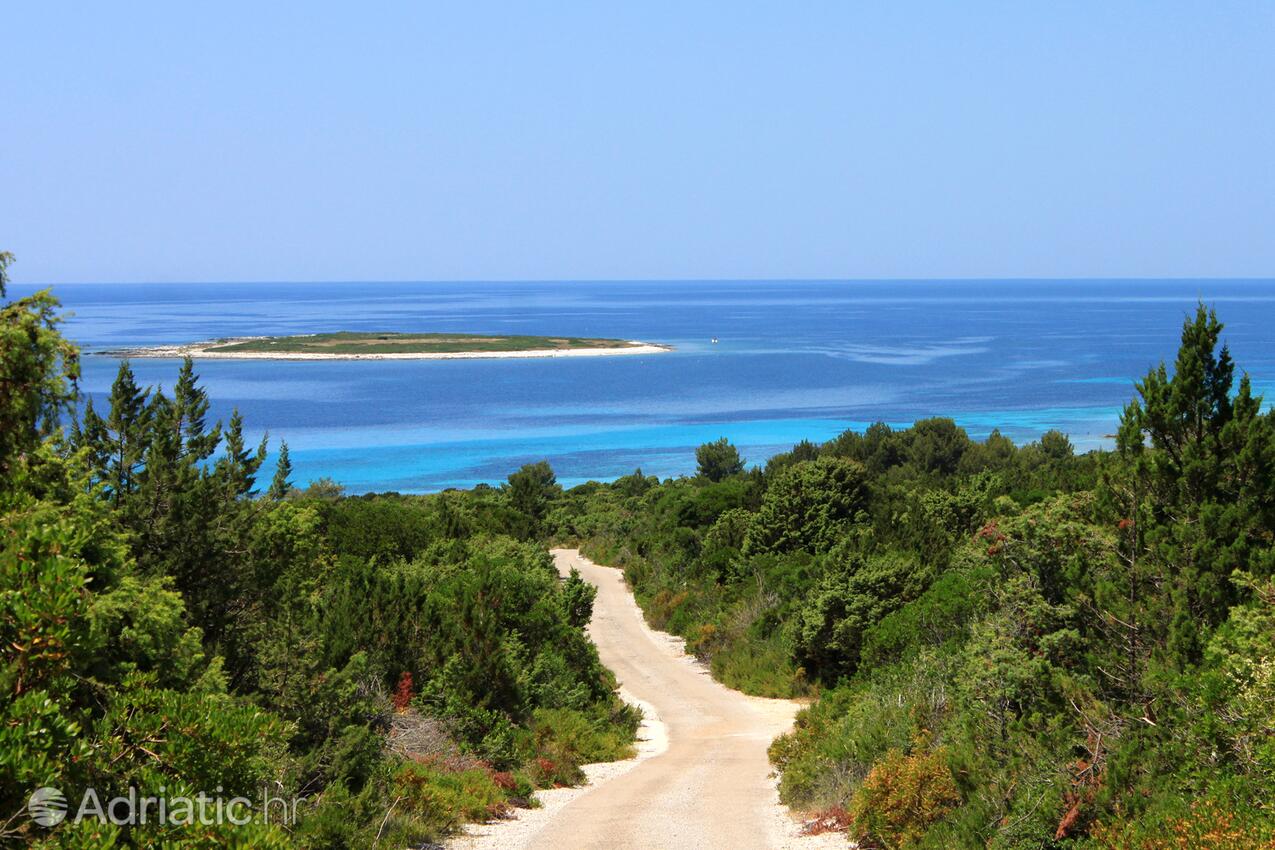 Spiagge nelle vicinanze - Casa vacanze accanto al mare Verunić, Isola Lunga - Dugi otok