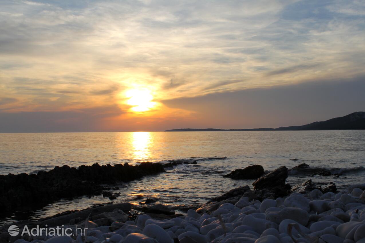 Spiagge nelle vicinanze - Casa vacanze accanto al mare Verunić, Isola Lunga - Dugi otok