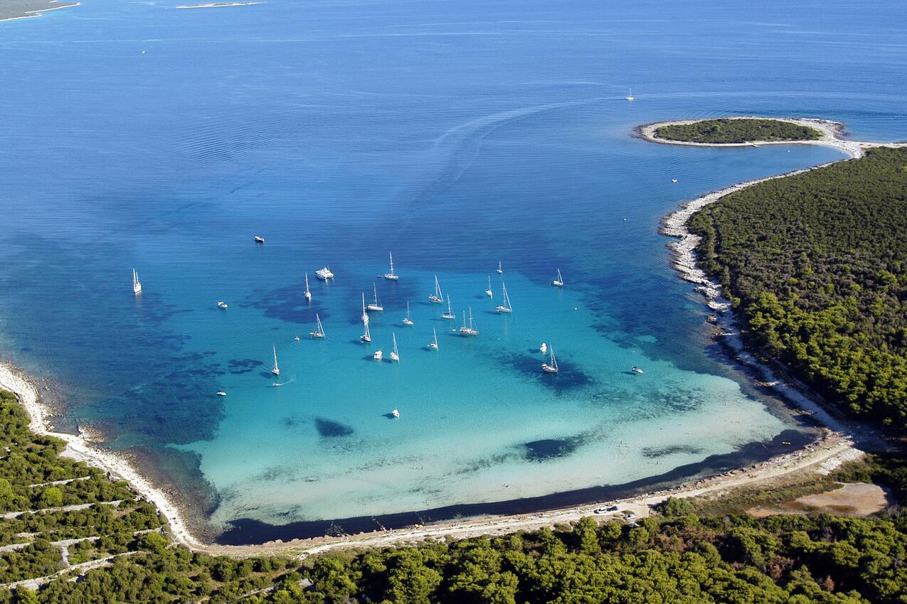 Spiagge nelle vicinanze - Casa vacanze accanto al mare Verunić, Isola Lunga - Dugi otok
