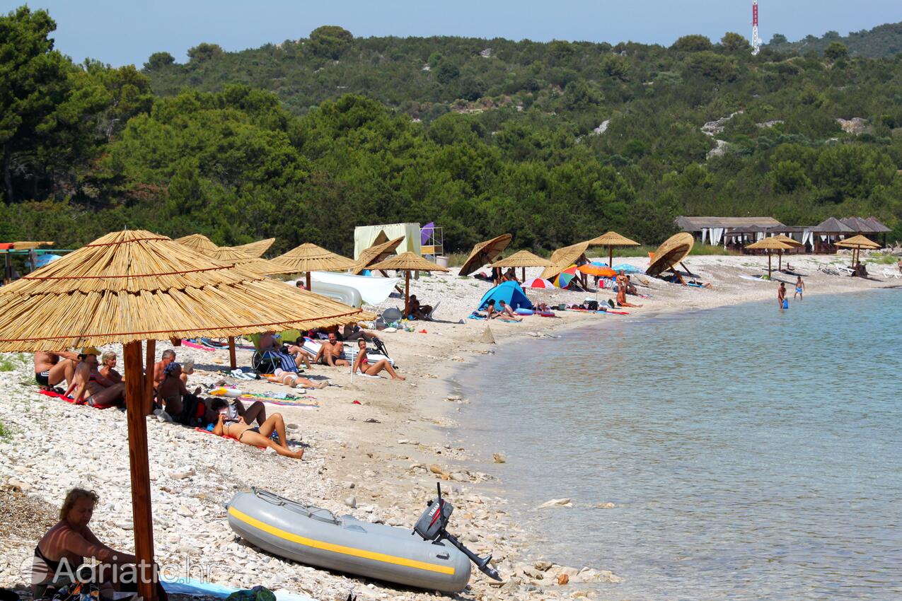 Spiagge nelle vicinanze - Casa vacanze accanto al mare Verunić, Isola Lunga - Dugi otok
