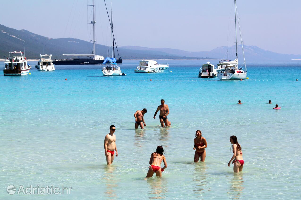 Spiagge nelle vicinanze - Casa vacanze accanto al mare Verunić, Isola Lunga - Dugi otok