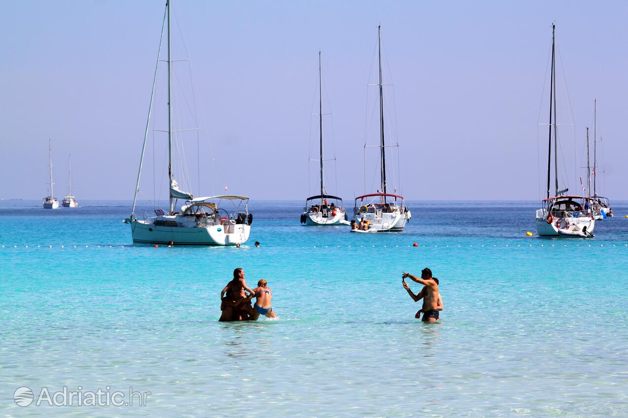 Spiagge nelle vicinanze - Casa vacanze accanto al mare Verunić, Isola Lunga - Dugi otok