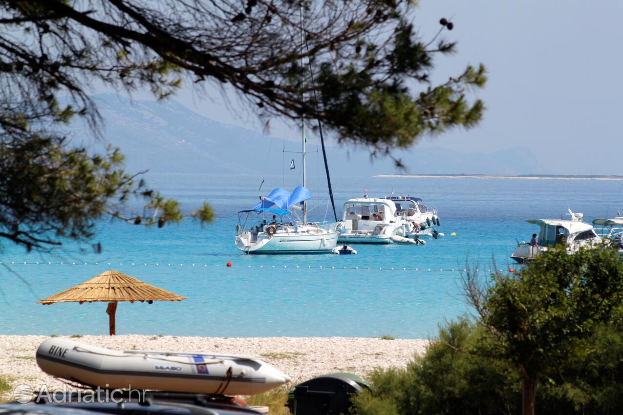 Spiagge nelle vicinanze - Casa vacanze accanto al mare Verunić, Isola Lunga - Dugi otok