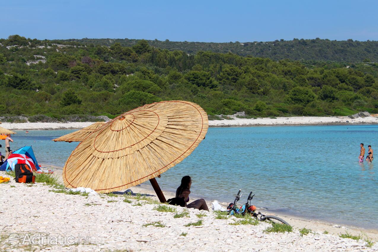 Spiagge nelle vicinanze - Casa vacanze accanto al mare Verunić, Isola Lunga - Dugi otok