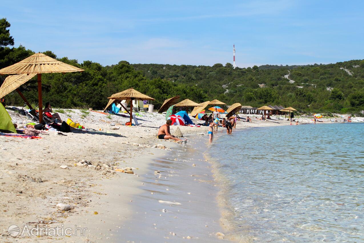 Spiagge nelle vicinanze - Casa vacanze accanto al mare Verunić, Isola Lunga - Dugi otok