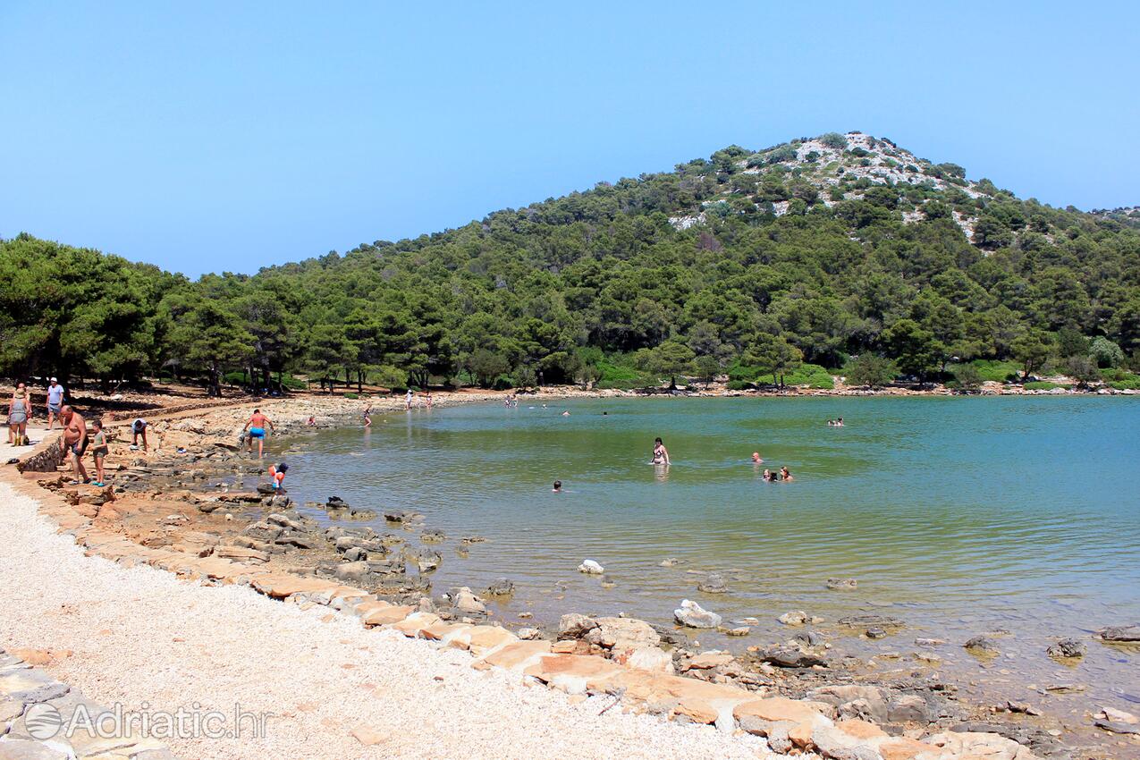 Dragnjevica - Telašćica na wyspie Dugi otok (Sjeverna Dalmacija)