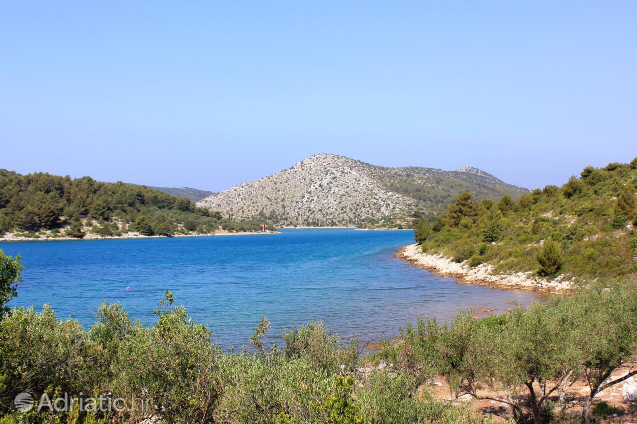 Dragnjevica - Telašćica na wyspie Dugi otok (Sjeverna Dalmacija)