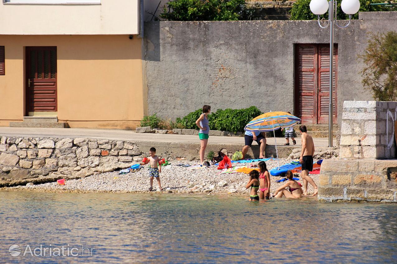 Nearby beaches - Secluded fisherman's cottage Cove Dragnjevica - Telašćica, Dugi otok
