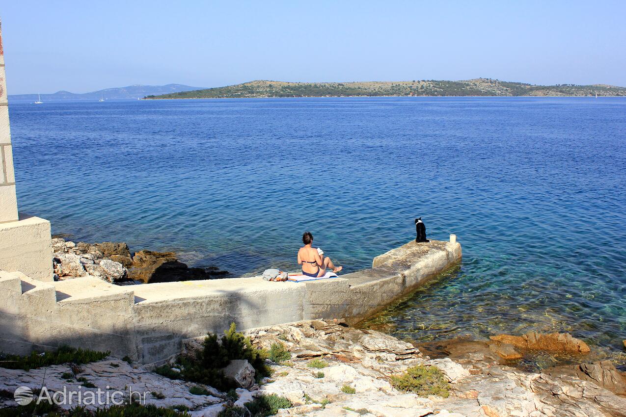 Nearby beaches - Secluded fisherman's cottage Cove Dragnjevica - Telašćica, Dugi otok