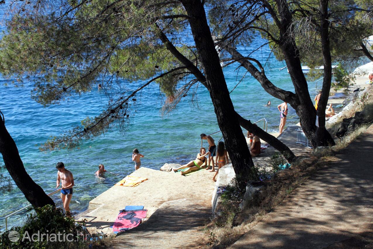 Nearby beaches - Secluded fisherman's cottage Cove Dragnjevica - Telašćica, Dugi otok