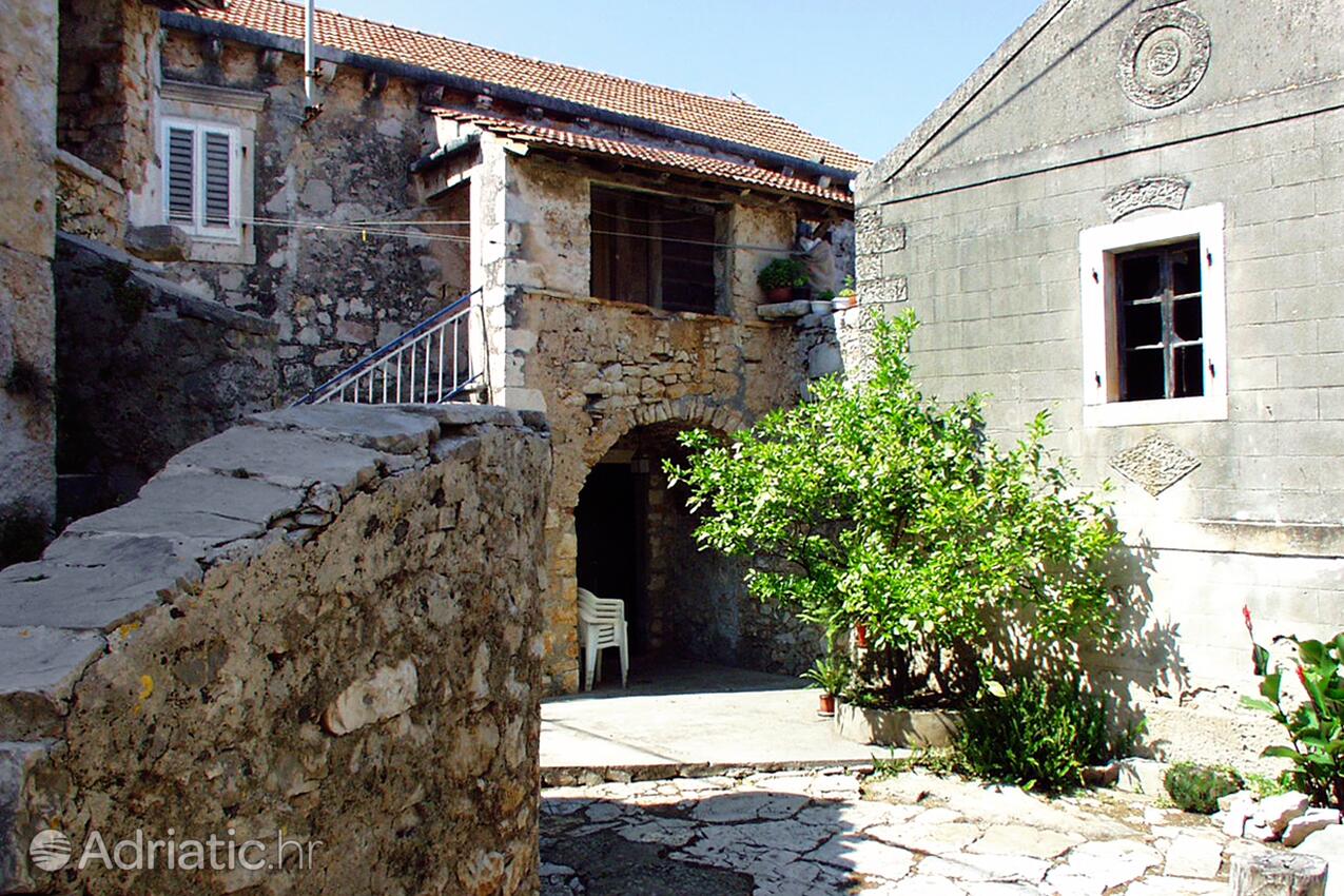 Žman sur l’île Dugi otok (Sjeverna Dalmacija)