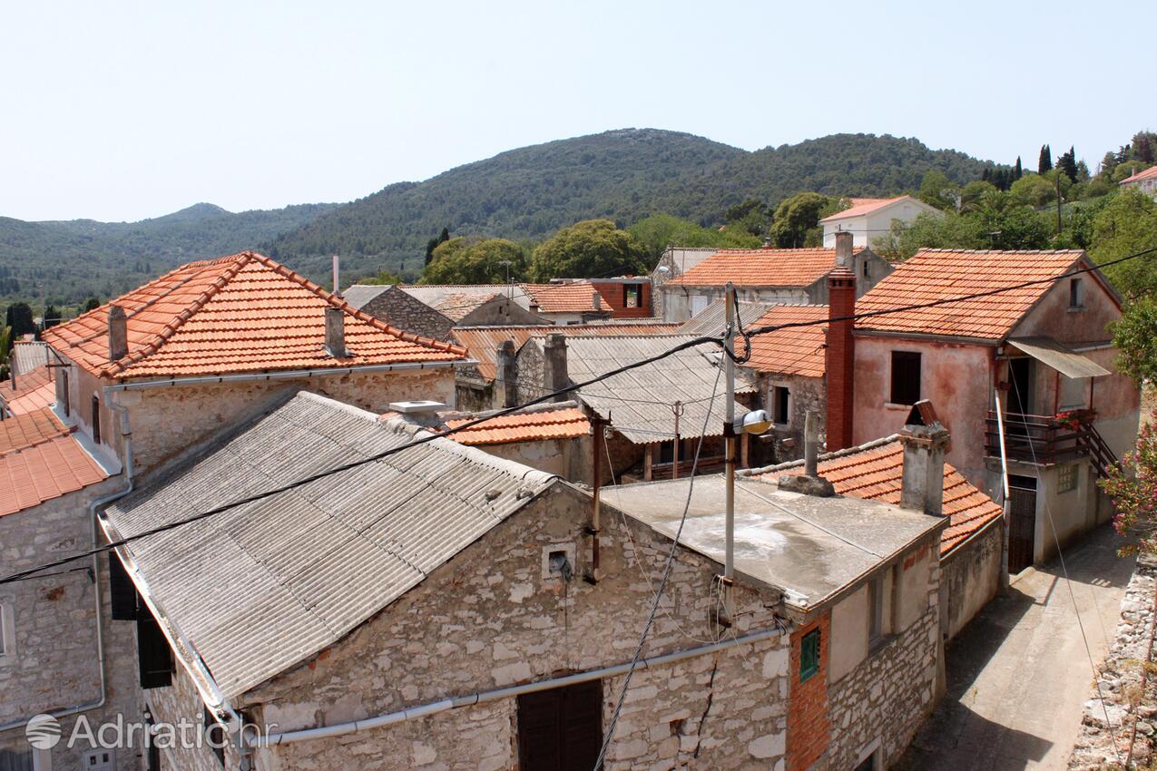 Žman sur l’île Dugi otok (Sjeverna Dalmacija)