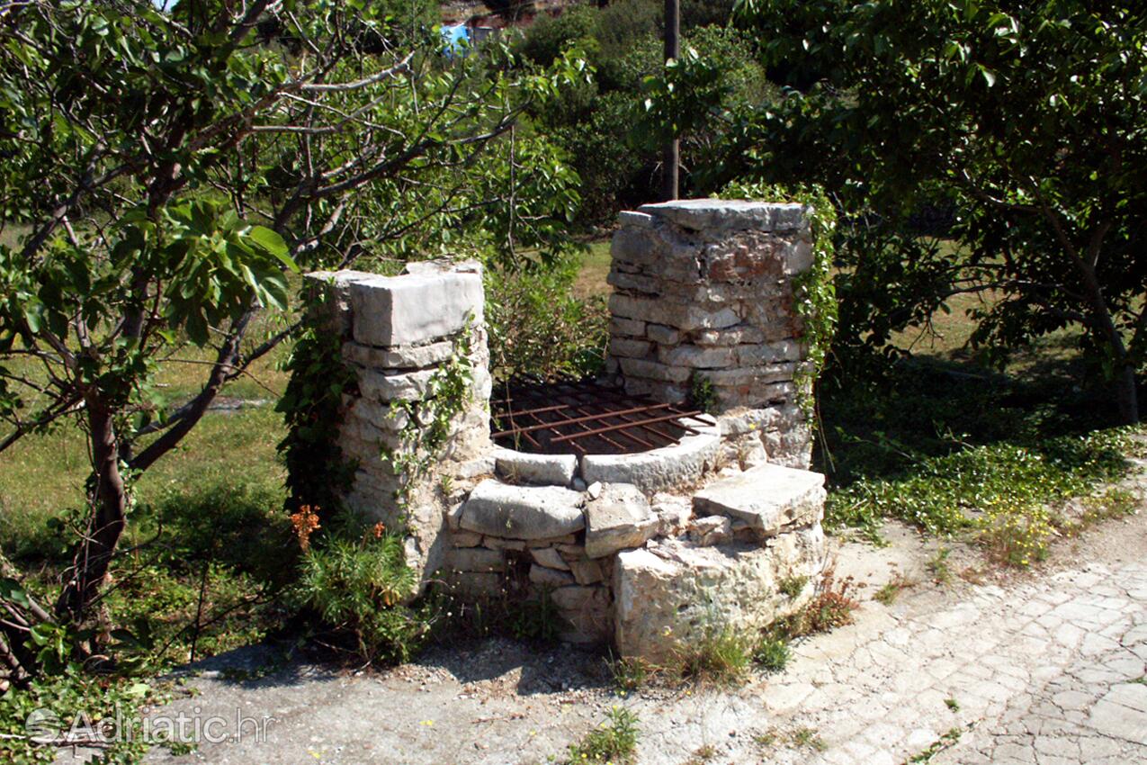 Žman sur l’île Dugi otok (Sjeverna Dalmacija)