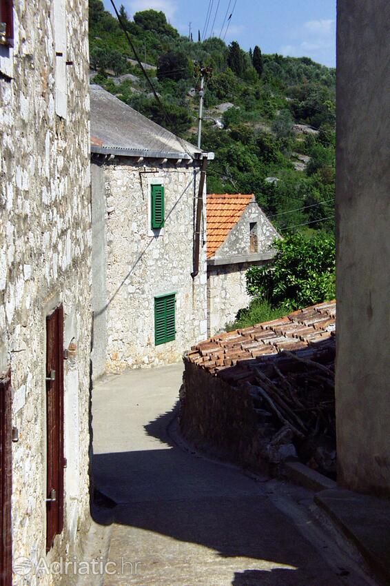 Žman sur l’île Dugi otok (Sjeverna Dalmacija)