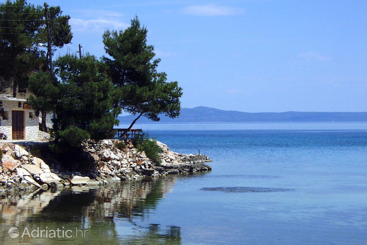 Žman sur l’île Dugi otok (Sjeverna Dalmacija)