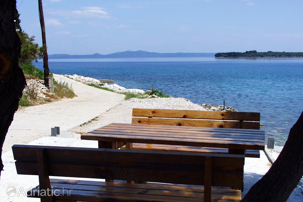 Žman sur l’île Dugi otok (Sjeverna Dalmacija)