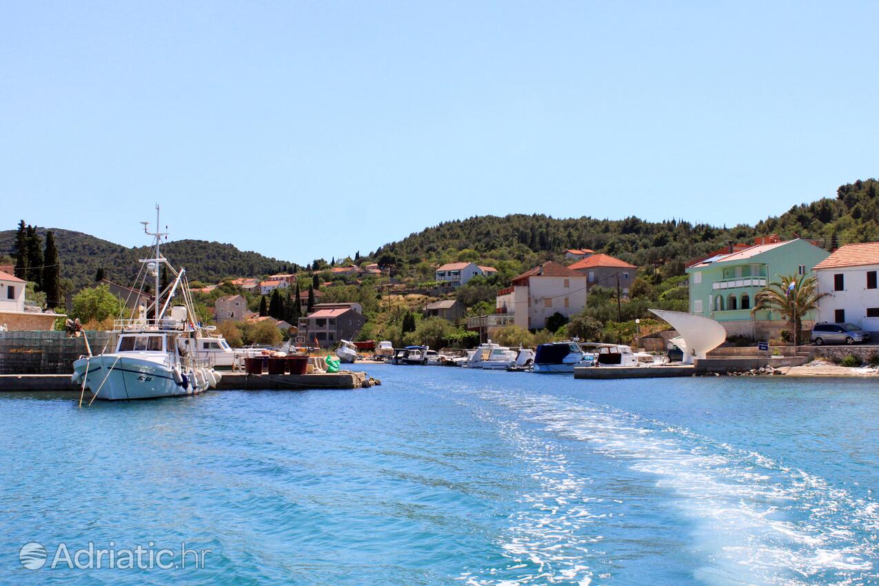 Žman sur l’île Dugi otok (Sjeverna Dalmacija)