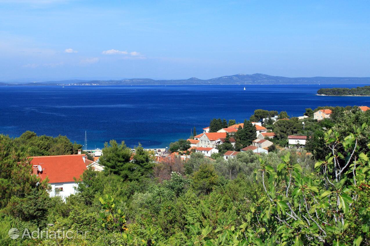 Žman sur l’île Dugi otok (Sjeverna Dalmacija)