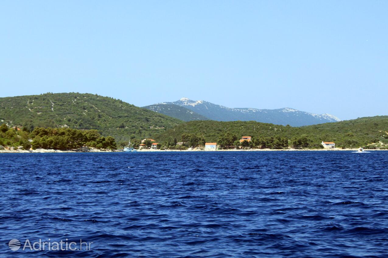 Žman sur l’île Dugi otok (Sjeverna Dalmacija)