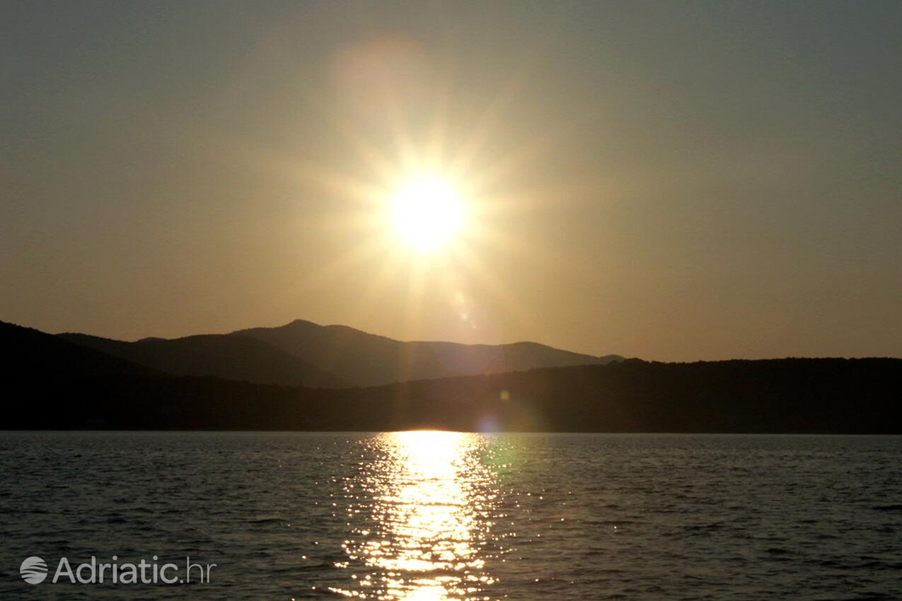 Žman sur l’île Dugi otok (Sjeverna Dalmacija)