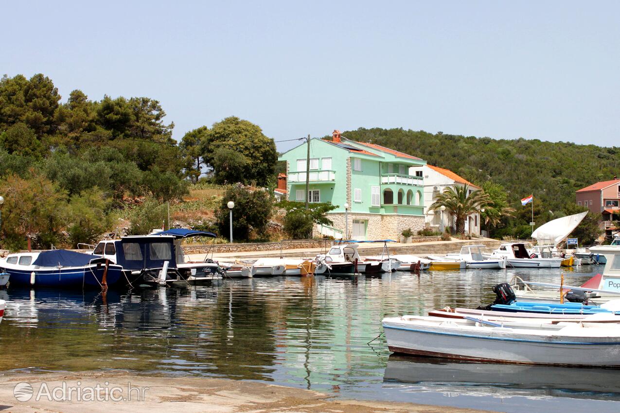 Žman sur l’île Dugi otok (Sjeverna Dalmacija)