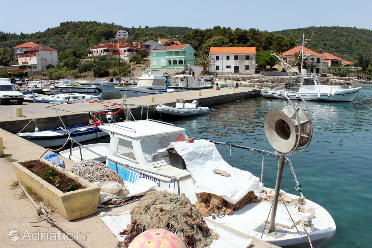 Žman sur l’île Dugi otok (Sjeverna Dalmacija)