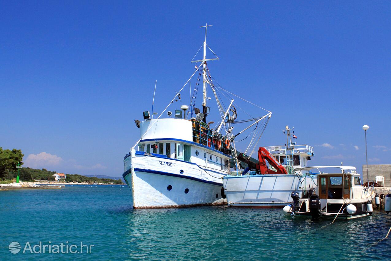 Žman sur l’île Dugi otok (Sjeverna Dalmacija)