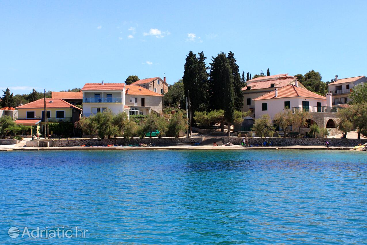 Žman sur l’île Dugi otok (Sjeverna Dalmacija)