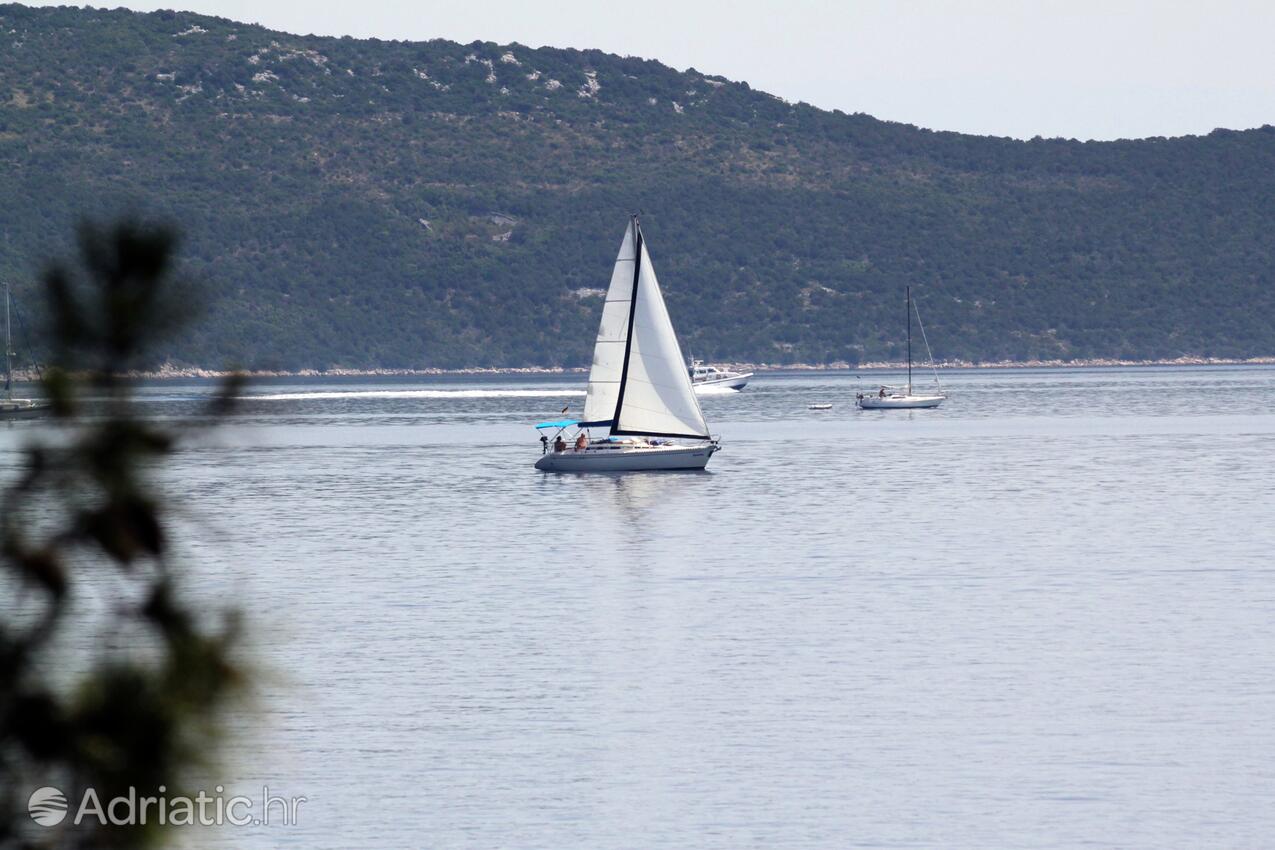 Božava sur l’île Dugi otok (Sjeverna Dalmacija)