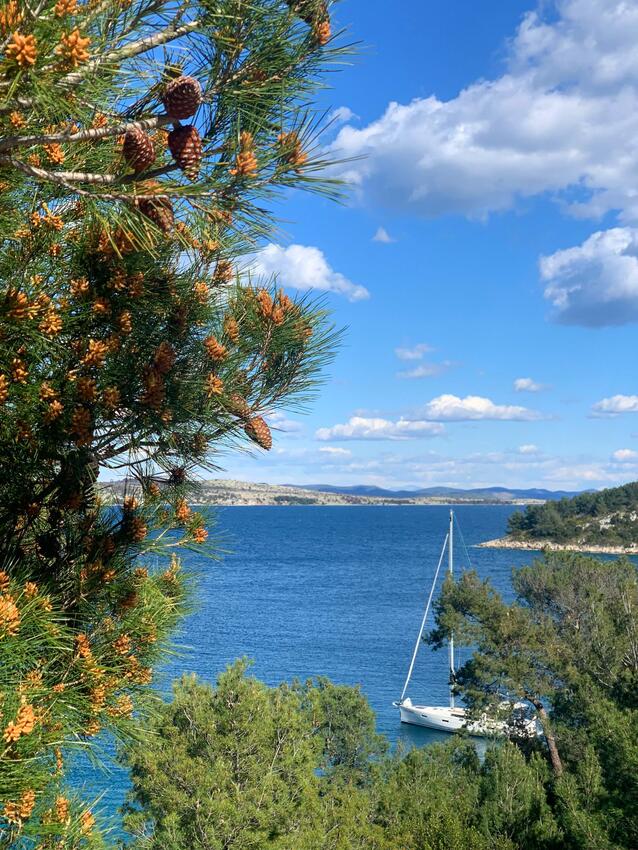 Dumboka på otoku Dugi otok (Sjeverna Dalmacija)