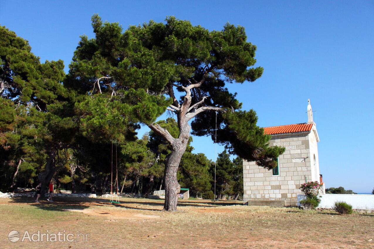 Veli Rat na wyspie Dugi otok (Sjeverna Dalmacija)