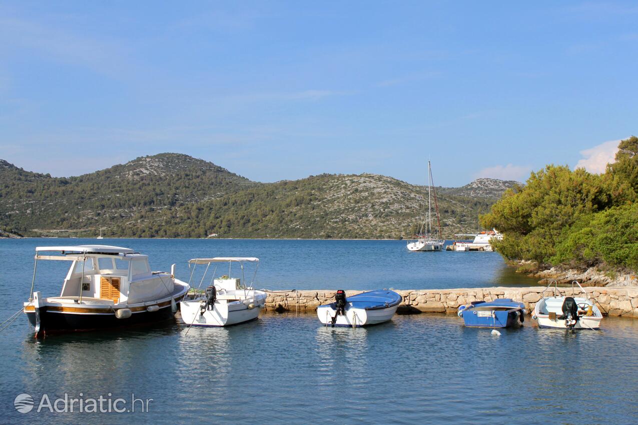 Jaz - Telašćica sur l’île Dugi otok (Sjeverna Dalmacija)