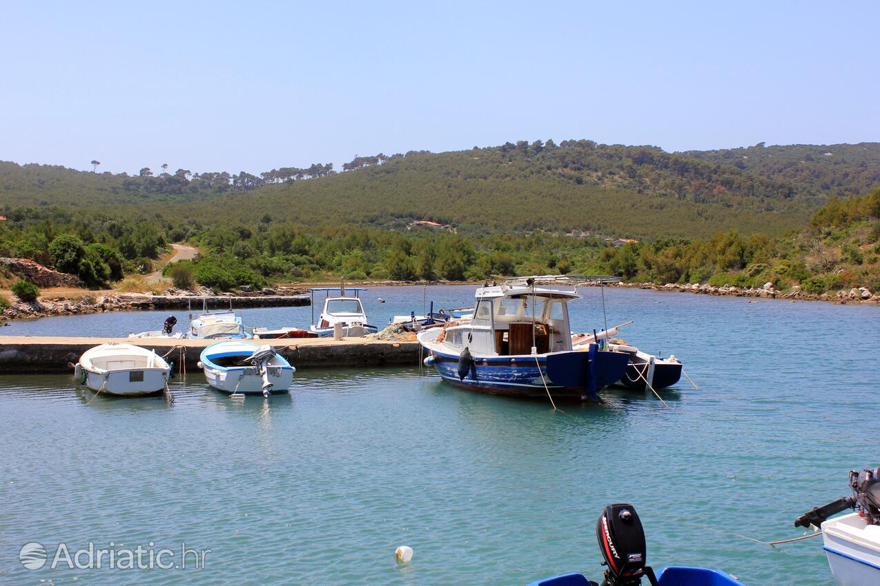 Jaz - Telašćica sur l’île Dugi otok (Sjeverna Dalmacija)