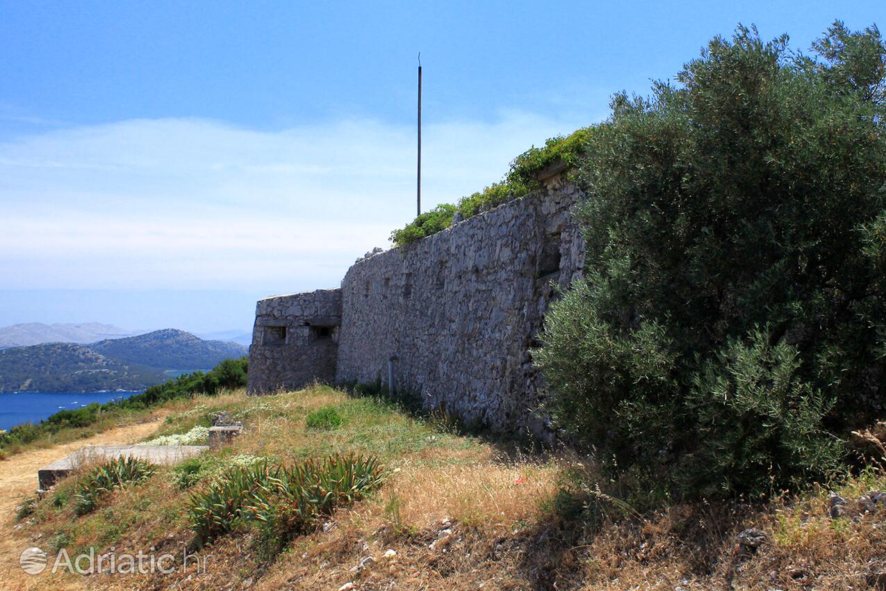 Jaz - Telašćica sur l’île Dugi otok (Sjeverna Dalmacija)