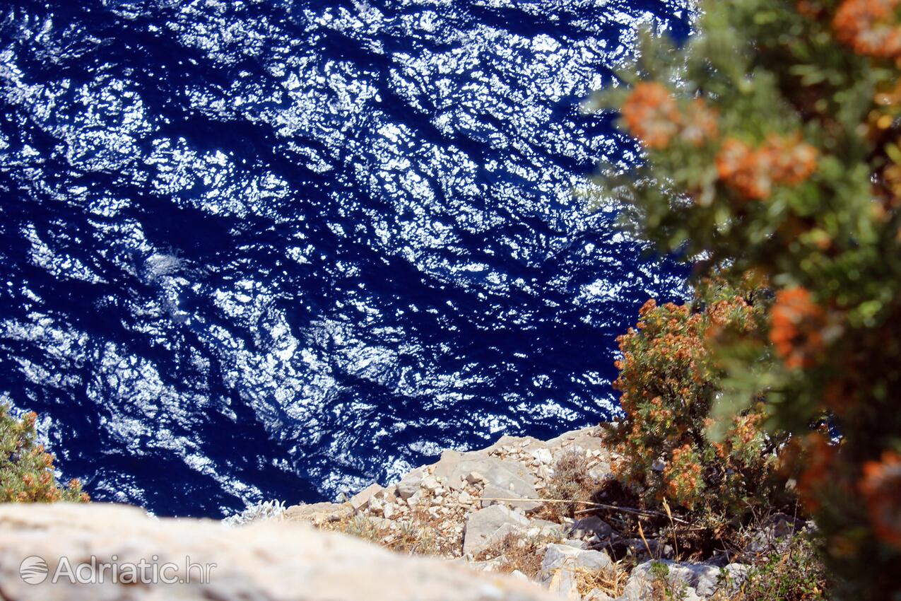 Jaz - Telašćica sur l’île Dugi otok (Sjeverna Dalmacija)