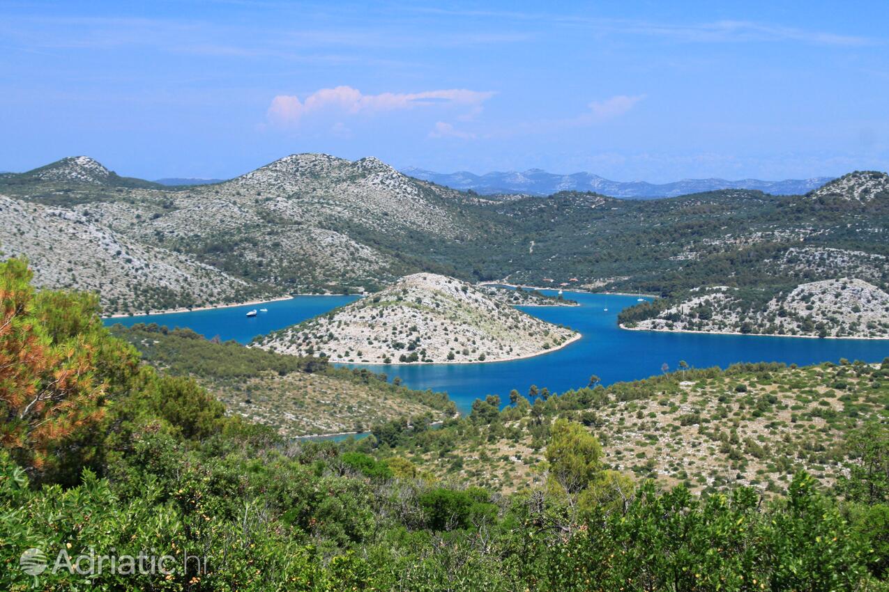 Pasjak - Telašćica op de route Dugi otok (Sjeverna Dalmacija)