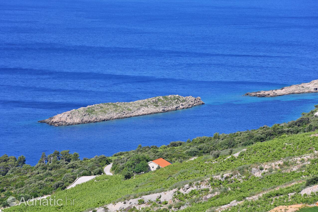 Dingač - Pristranj na riviére Pelješac (Južna Dalmacija)