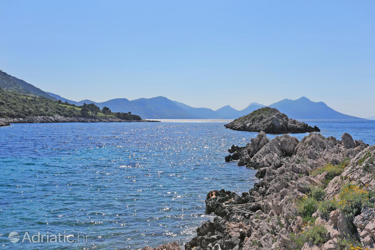 Dingač - Pristranj na riviére Pelješac (Južna Dalmacija)