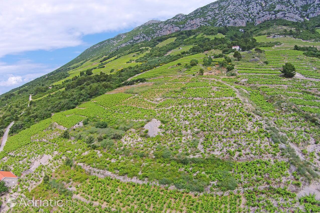 Dingač - Pristranj na riviére Pelješac (Južna Dalmacija)