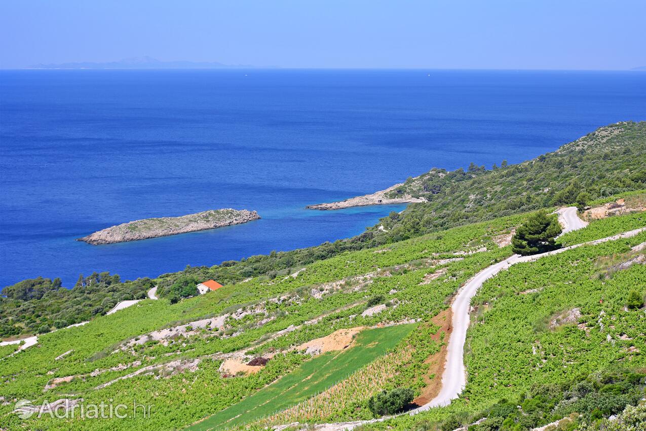 Dingač - Pristranj na riviére Pelješac (Južna Dalmacija)