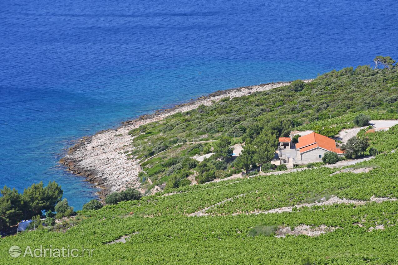 Dingač - Pristranj na riviére Pelješac (Južna Dalmacija)