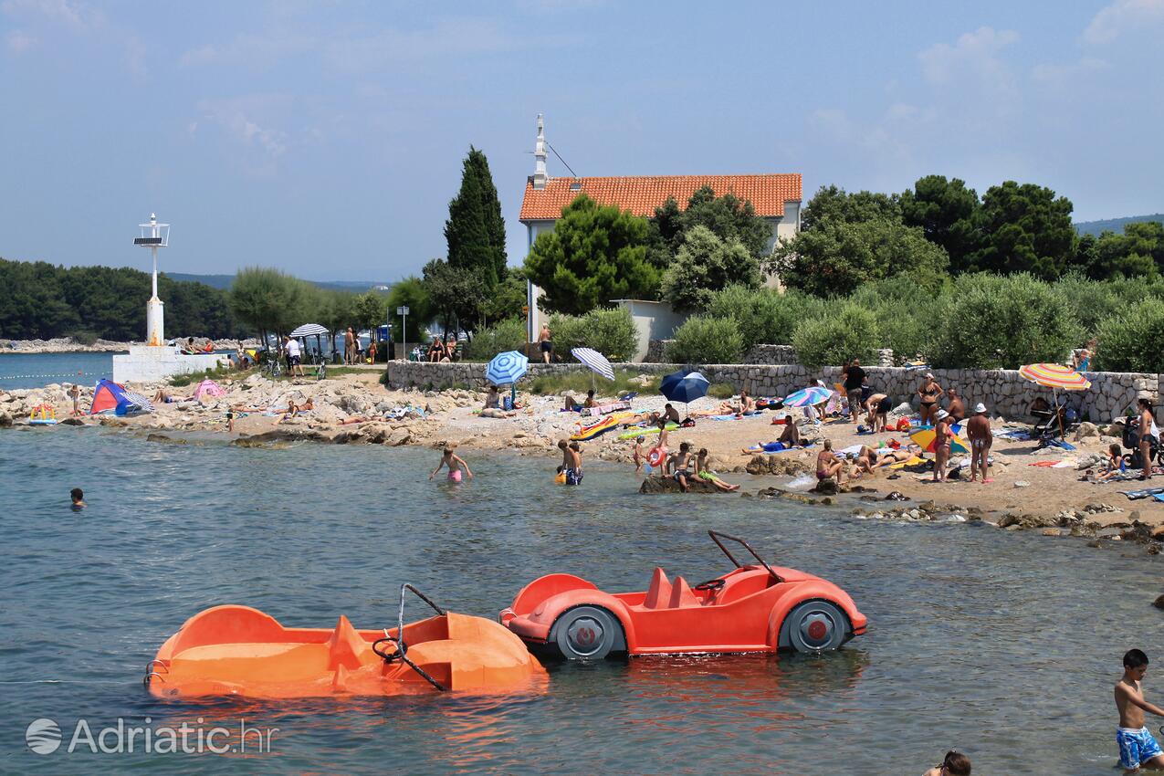 Spiagge nelle vicinanze - Appartamenti con piscina Ponte - Punat, Veglia - Krk
