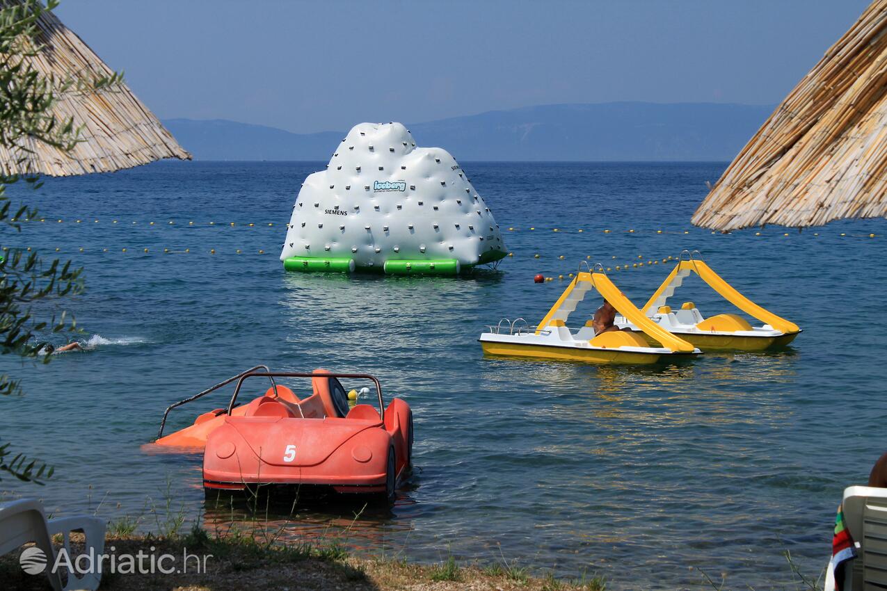 Spiagge nelle vicinanze - Appartamenti con piscina Ponte - Punat, Veglia - Krk