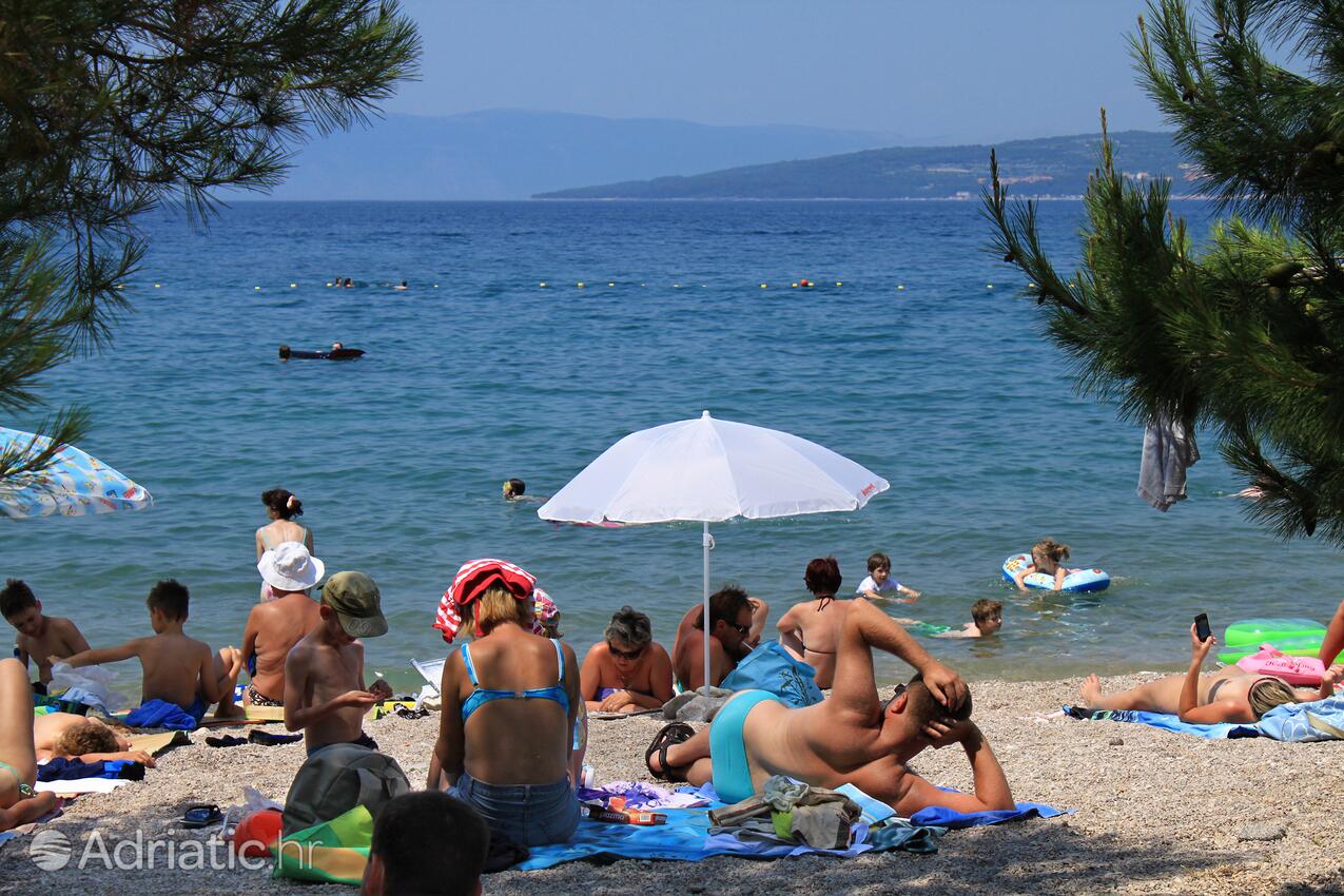 Spiagge nelle vicinanze - Appartamenti con piscina Ponte - Punat, Veglia - Krk