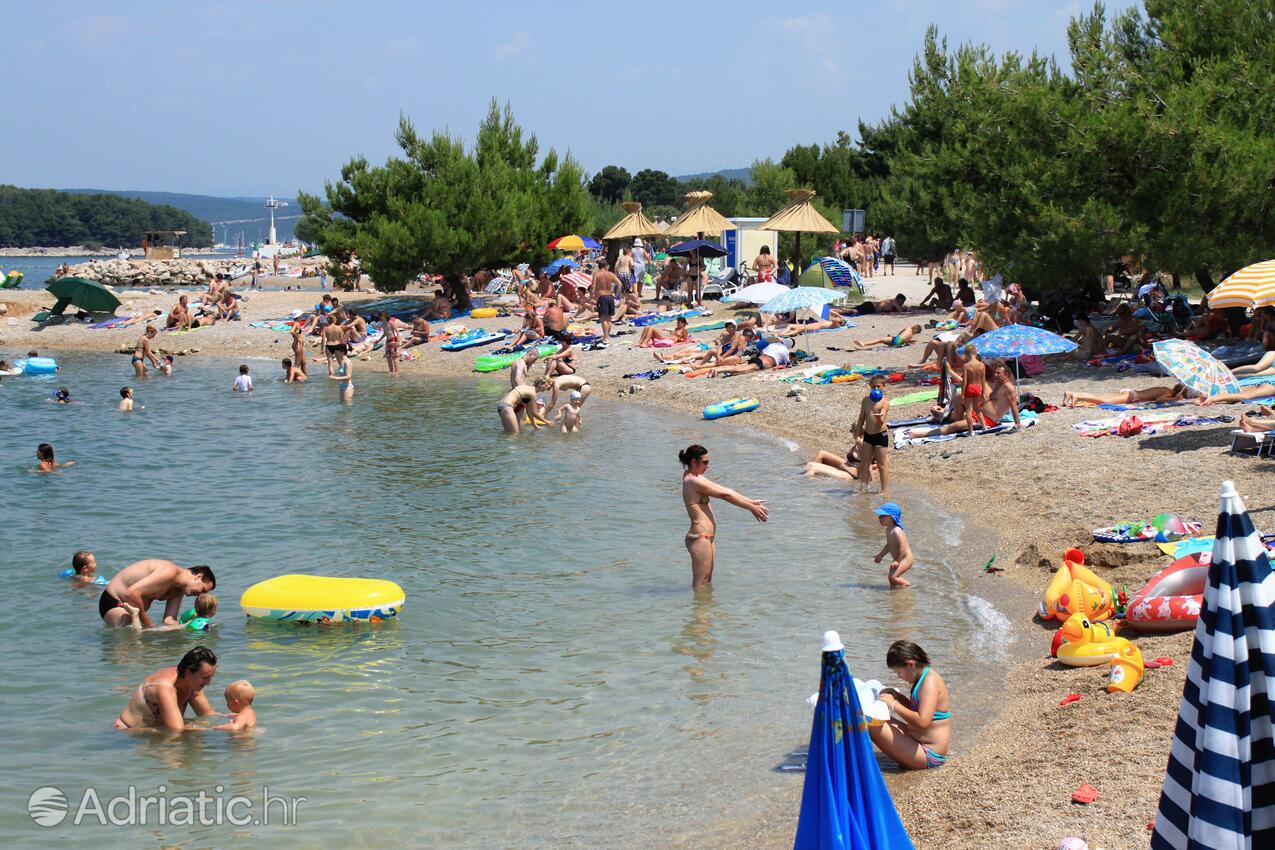 Spiagge nelle vicinanze - Appartamenti con piscina Ponte - Punat, Veglia - Krk
